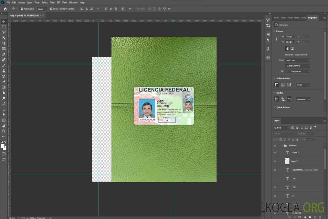 Photolook du permis de conduire du Mexique AVANT template Photolook du permis de conduire du Mexique AVANT template